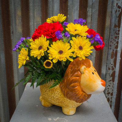 Baby Lion from Marion Flower Shop in Marion, OH